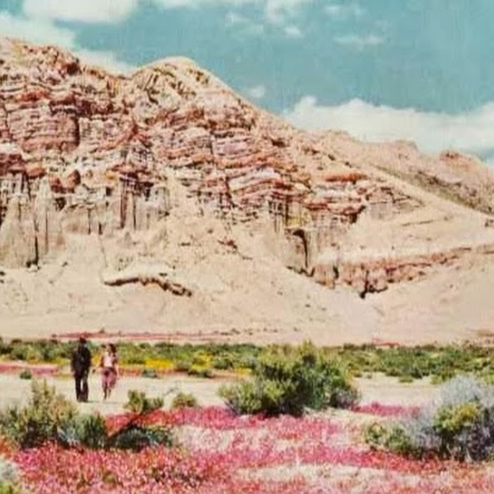 Meet your Posher, Lara